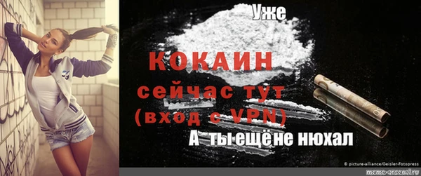 бошки Коряжма