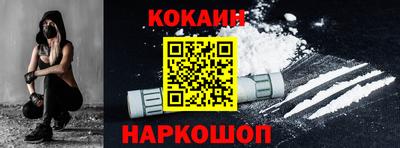 гашик Кингисепп