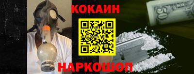 гашик Кингисепп
