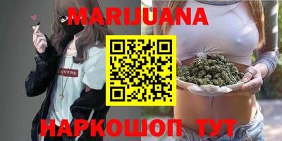 гашик Кингисепп