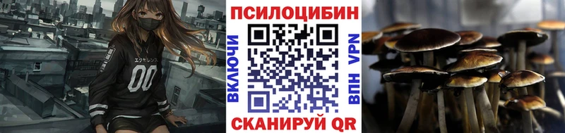 Псилоцибиновые грибы Magic Shrooms  купить наркоту  Мыски 